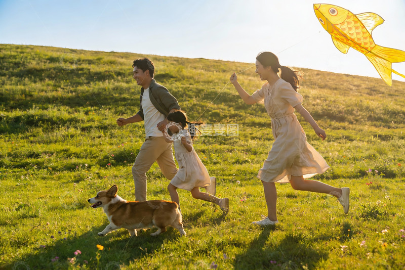高清大图下载【趣麦麦图】一家三口草地上放风筝