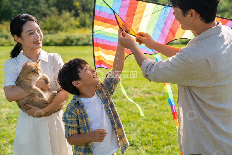高清大图下载【趣麦麦图】家庭户外放风筝与宠物猫