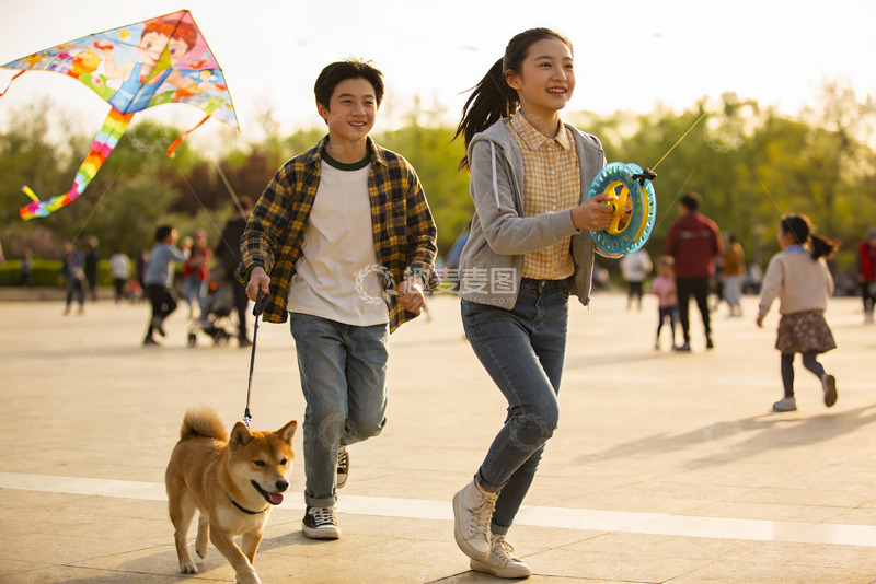 高清大图下载【趣麦麦图】情侣公园放风筝遛狗欢乐时光