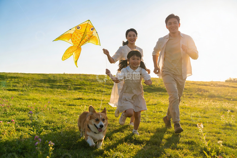 高清大图下载【趣麦麦图】一家三口草地上放风筝