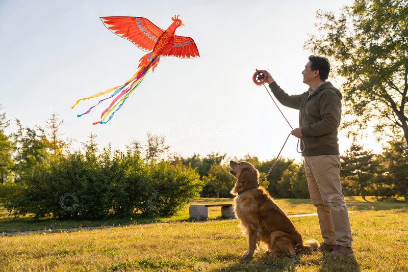 高清大图下载【趣麦麦图】男子公园放飞凤凰风筝与狗相伴