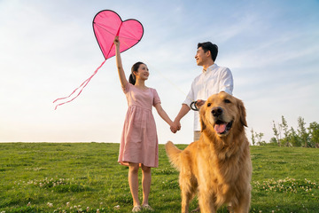 情侣草地放风筝与金毛犬