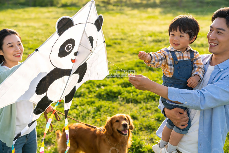 高清大图下载【趣麦麦图】家庭户外放风筝欢乐场景