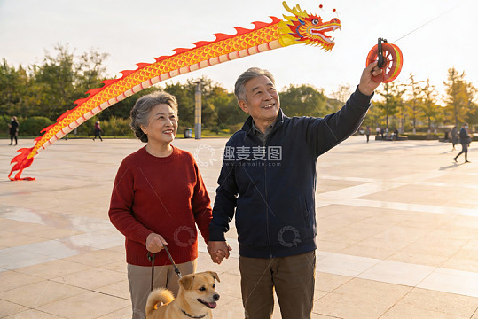 老年夫妇公园放龙风筝