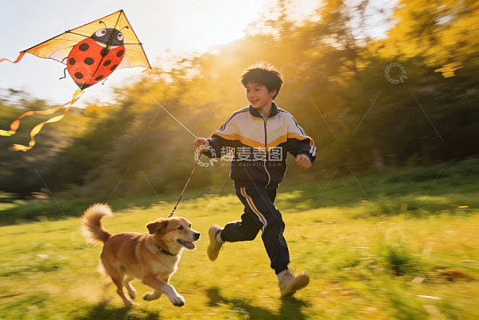 男孩放飞瓢虫风筝与狗奔跑