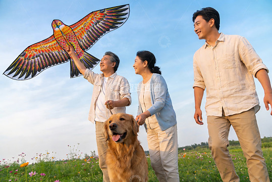 三代同堂户外放风筝