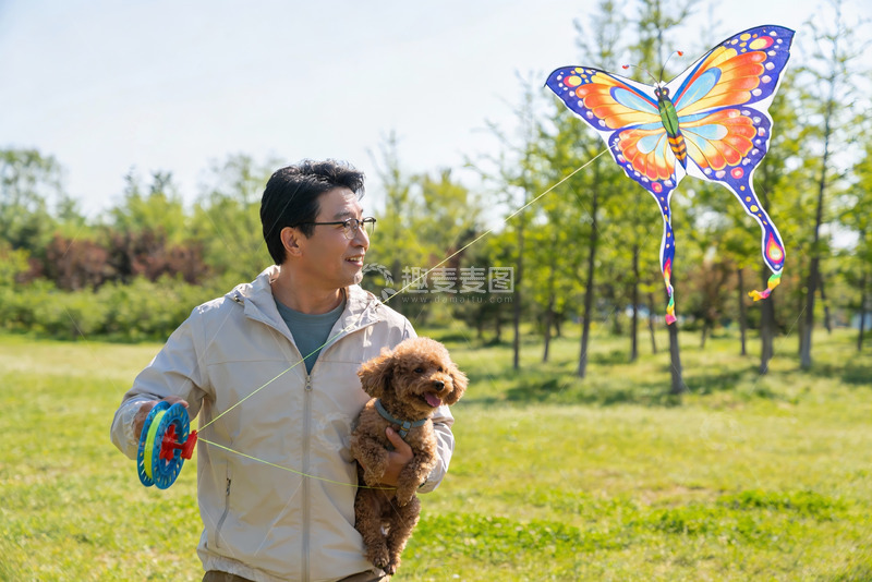 高清大图下载【趣麦麦图】男子公园放风筝抱狗