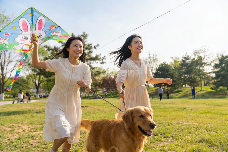 高清大图下载【趣麦麦图】两位女士公园放风筝遛狗