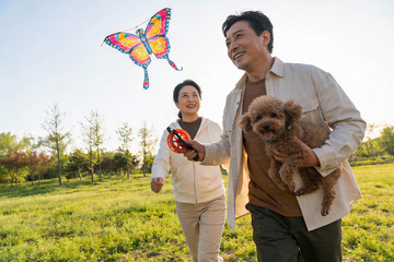 中年夫妇公园放风筝遛狗