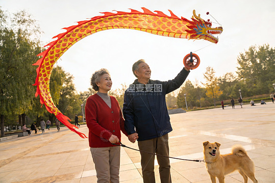 老年夫妇公园放龙风筝遛狗