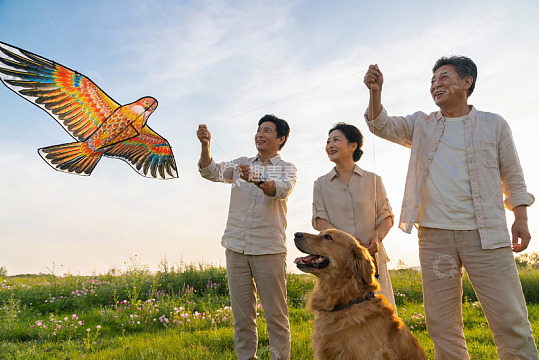 三人在户外放风筝与狗相伴