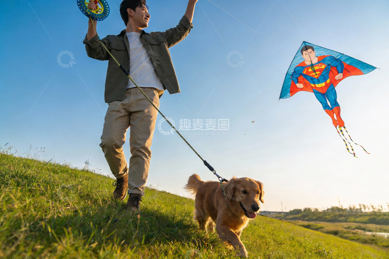 高清大图下载【趣麦麦图】男子草地放飞超人风筝与狗同行
