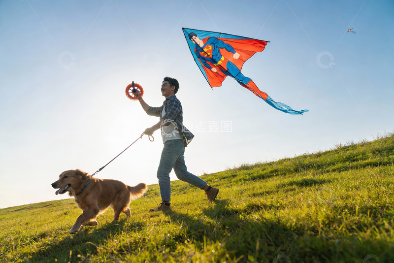 高清大图下载【趣麦麦图】男子草地遛狗放飞超人风筝