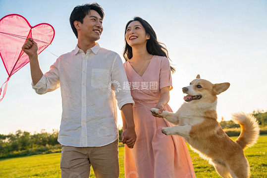 情侣放风筝与狗狗户外欢乐时光