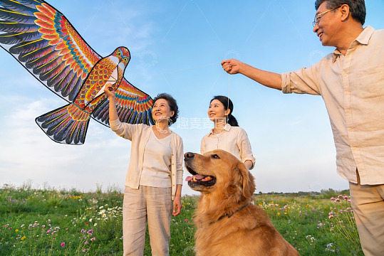 三代同堂户外放风筝