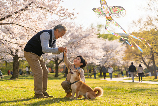 祖孙放风筝赏樱花