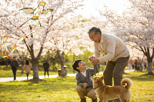 祖孙放风筝赏樱花