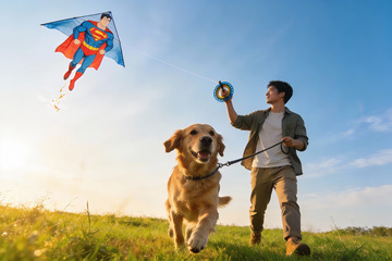 男子与金毛犬放飞超人风筝