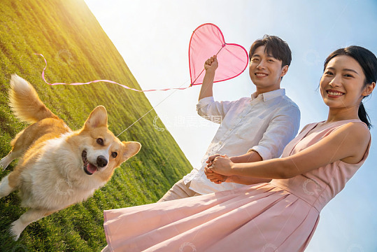 情侣草地放风筝与柯基犬