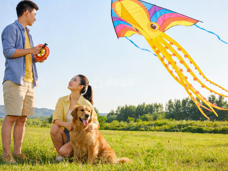 高清大图下载【趣麦麦图】情侣草地放风筝与宠物狗