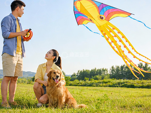 情侣草地放风筝与宠物狗