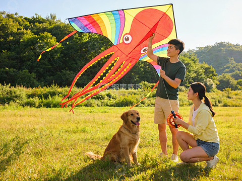情侣草地放风筝狗狗陪伴