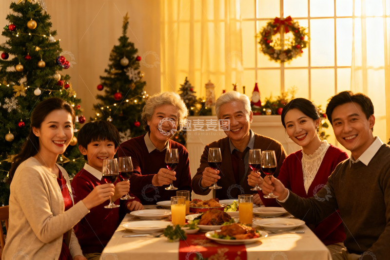 高清大图下载【趣麦麦图】圣诞家庭聚餐举杯欢庆
