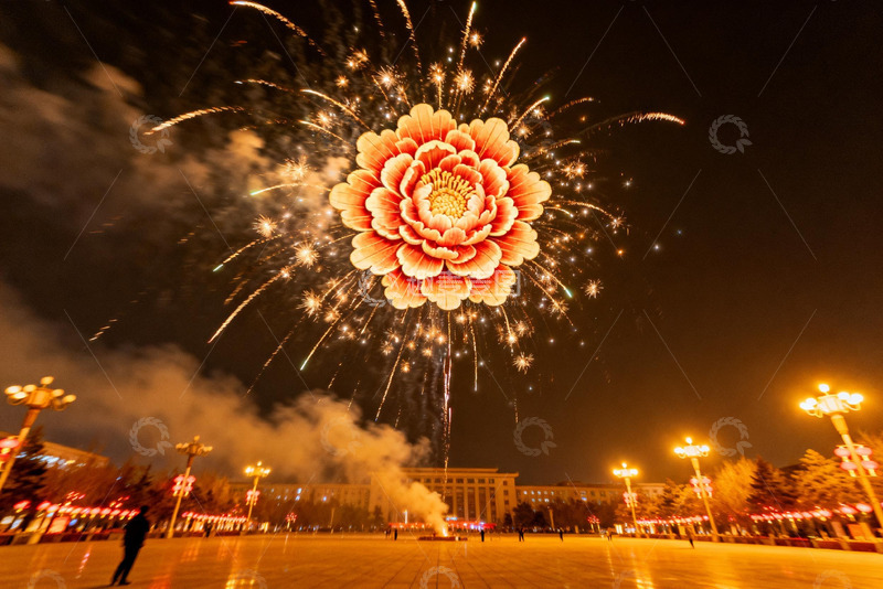 高清大图下载【趣麦麦图】夜空绽放巨型烟花牡丹