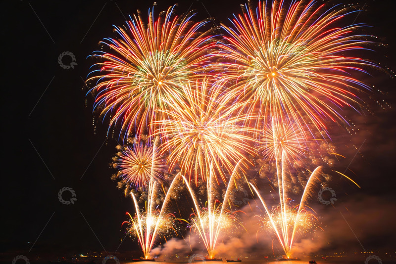 高清大图下载【趣麦麦图】夜空中绽放的绚丽烟花