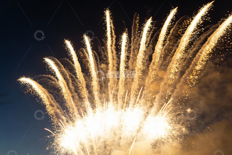 高清大图下载【趣麦麦图】夜空中绽放的金色烟花