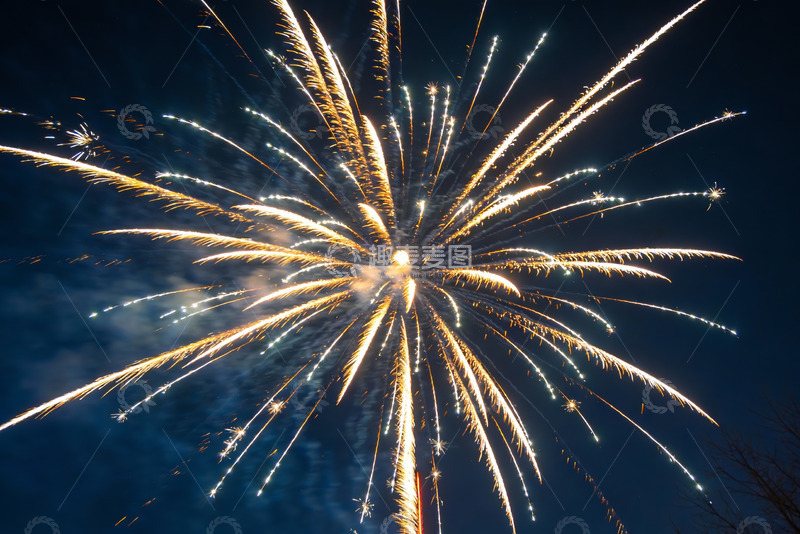 高清大图下载【趣麦麦图】夜空中绽放的金色烟花