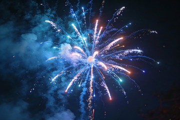 夜空中绽放的绚丽烟花