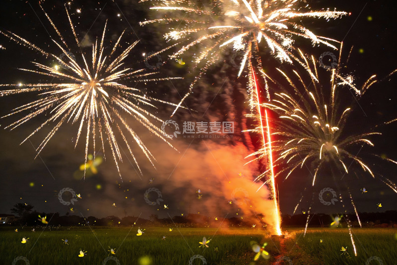 高清大图下载【趣麦麦图】夜空烟花绽放田野萤火虫飞舞