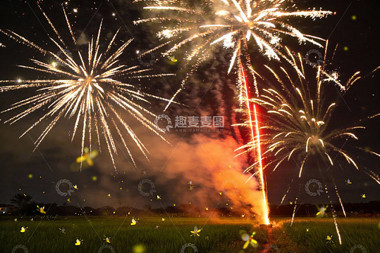 夜空烟花绽放田野萤火虫飞舞