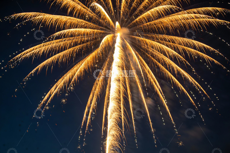 高清大图下载【趣麦麦图】夜空中绽放的金色烟花