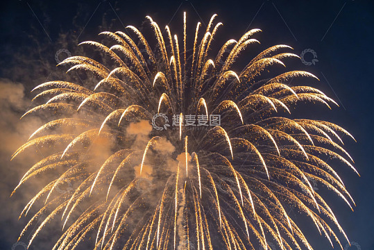 夜空烟花绽放绚丽景象