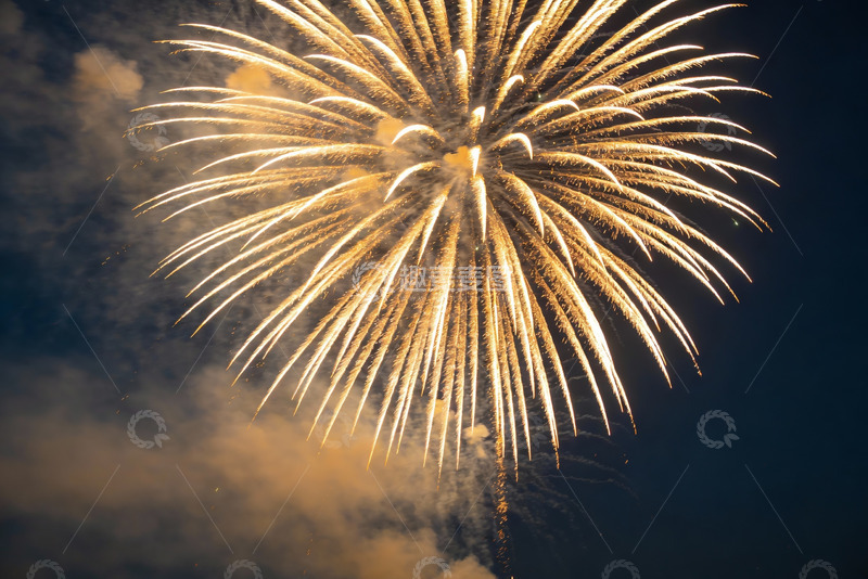 高清大图下载【趣麦麦图】夜空中绽放的金色烟花