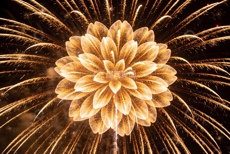 高清大图下载【趣麦麦图】夜空中绽放的金色烟花