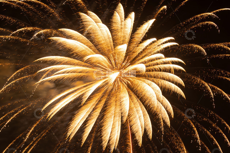 高清大图下载【趣麦麦图】夜空中绽放的金色烟花