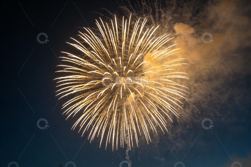 高清大图下载【趣麦麦图】夜空中绽放的金色烟花