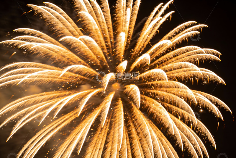 高清大图下载【趣麦麦图】夜空中绽放的金色烟花