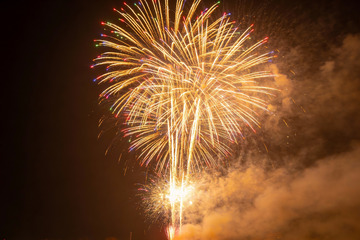 夜空中绽放的绚丽烟花