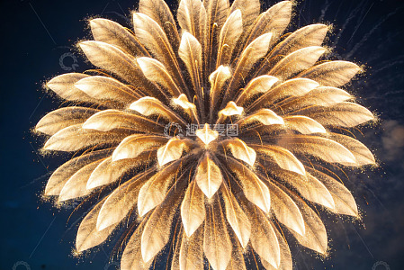 金色烟花绽放夜空