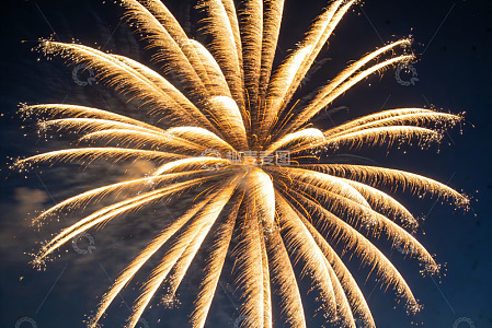 夜空烟花绽放绚丽光芒