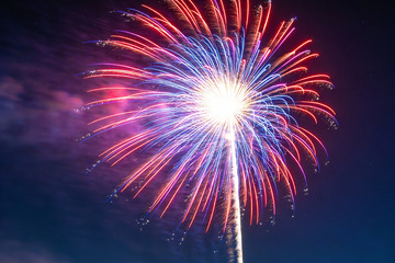 夜空中绽放的绚丽烟花