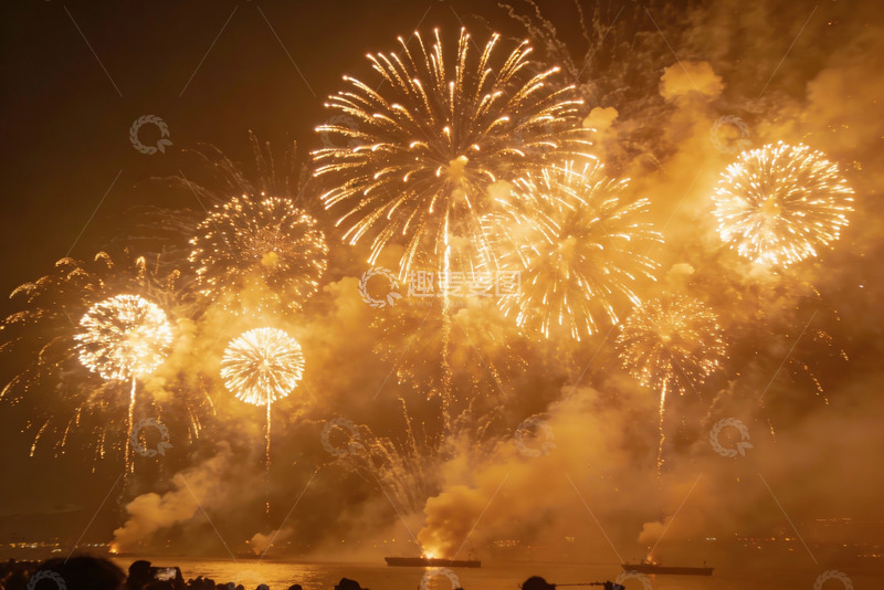 高清大图下载【趣麦麦图】夜空中绽放的金色烟花秀