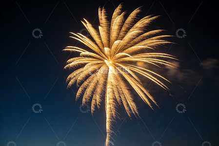 夜空中绽放的金色烟花