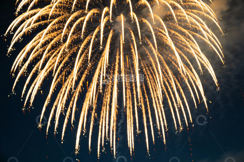 高清大图下载【趣麦麦图】夜空中绽放的金色烟花