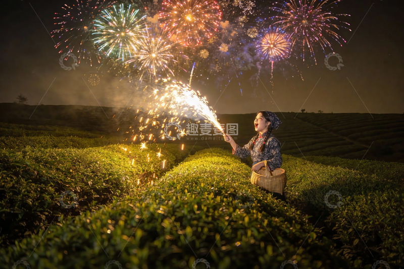 高清大图下载【趣麦麦图】女子茶园夜放烟花